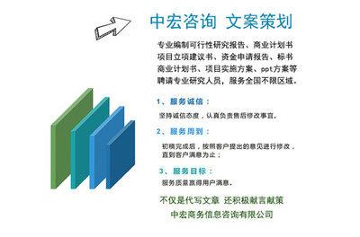 新能源項(xiàng)目商業(yè)計(jì)劃書代寫制作與咨詢策劃服務(wù) 打造專業(yè)藍(lán)圖，賦能綠色未來